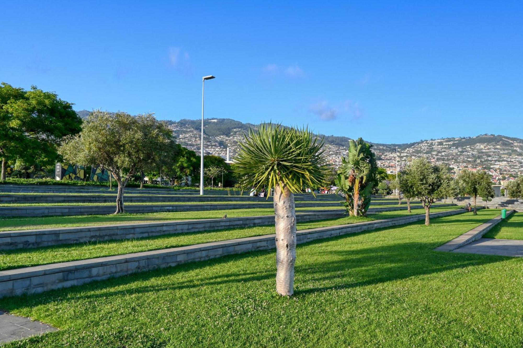 Beco Santa Emilia 4P, A Home In Madeira Funchal  Exterior photo